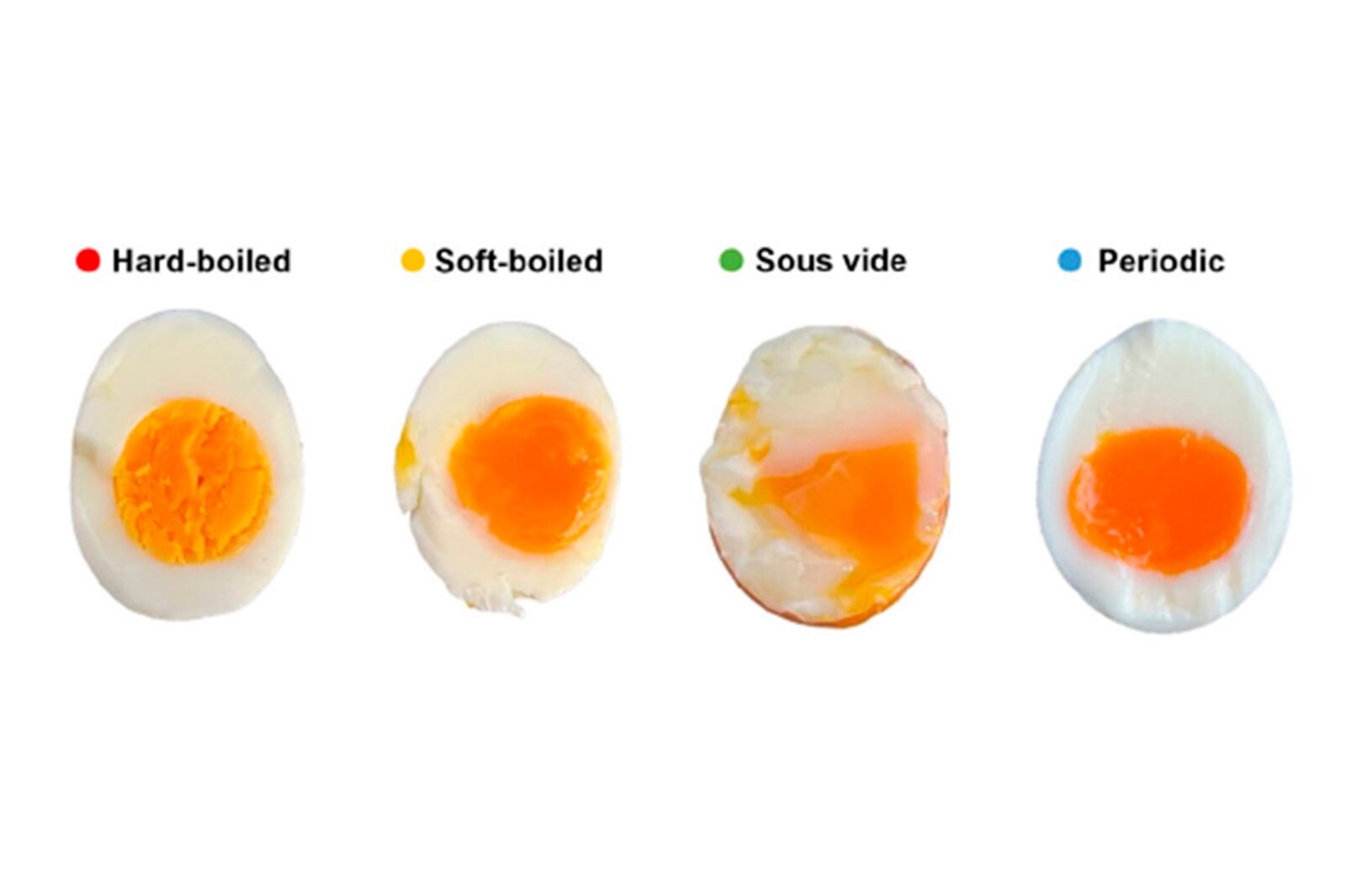 This image provided by researchers in February 2025 shows the results of different methods of boiling eggs, with a new technique dubbed "periodic cooking" at right. (Emilia Di Lorenzo, Ernesto Di Maio via AP)