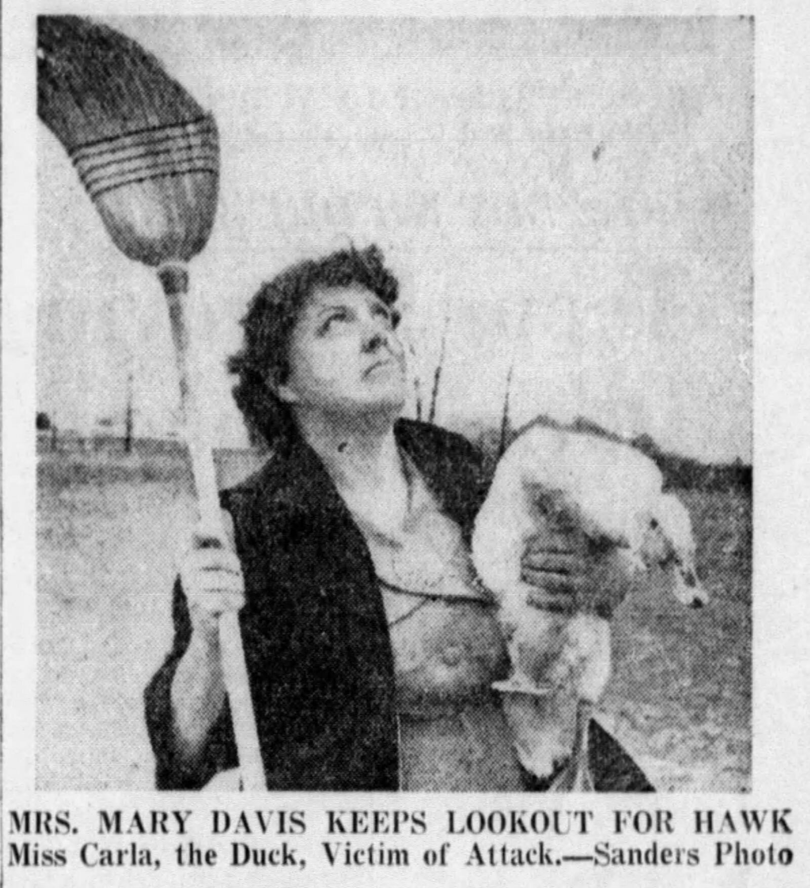 Dec. 20, 1964: Duck in distress: Keep your talons of Miss Carla. DAYTON DAILY NEWS ARCHIVES