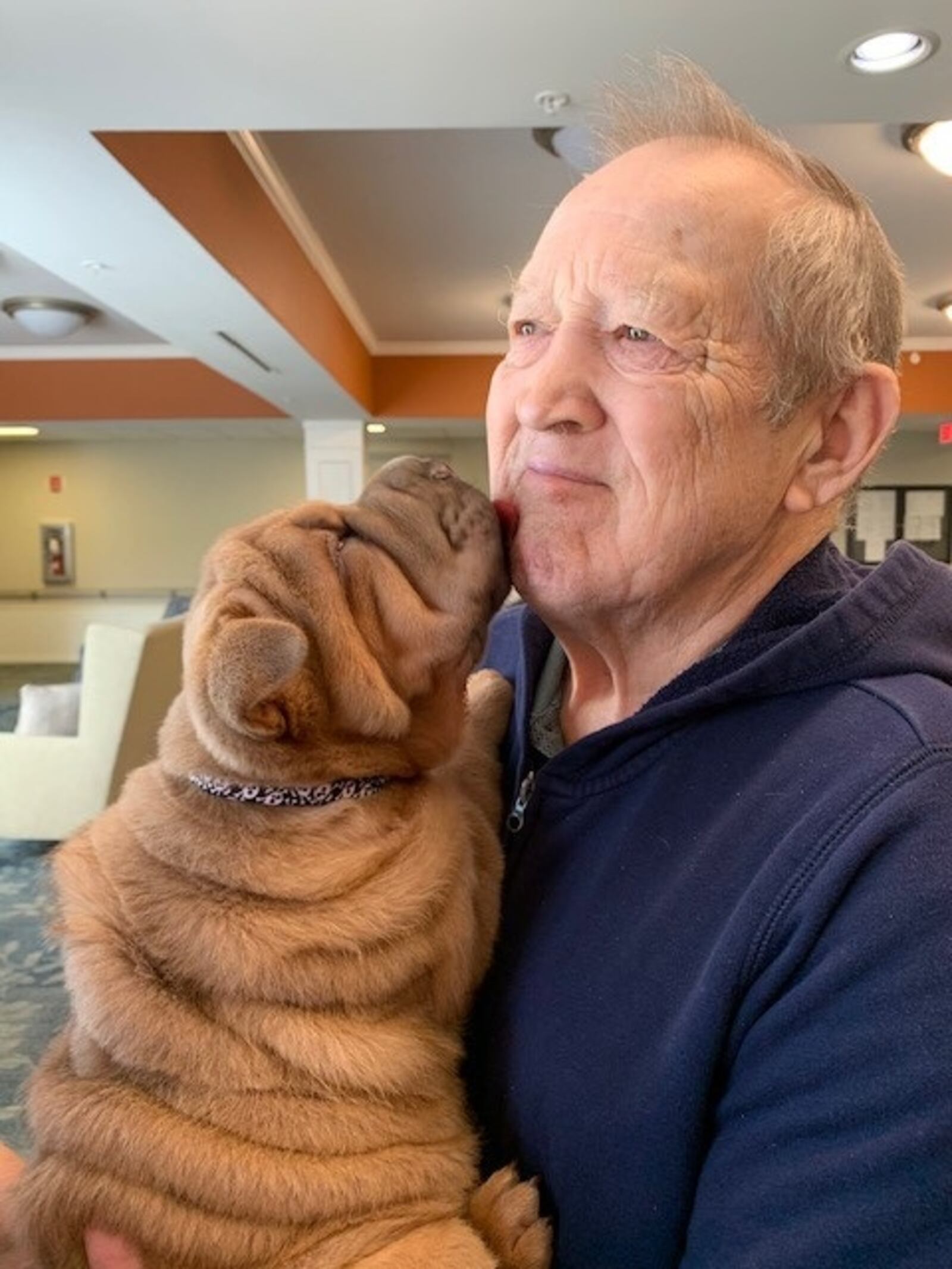 A resident at StoryPoint Troy snuggles up on a puppy a part of the puppy program.