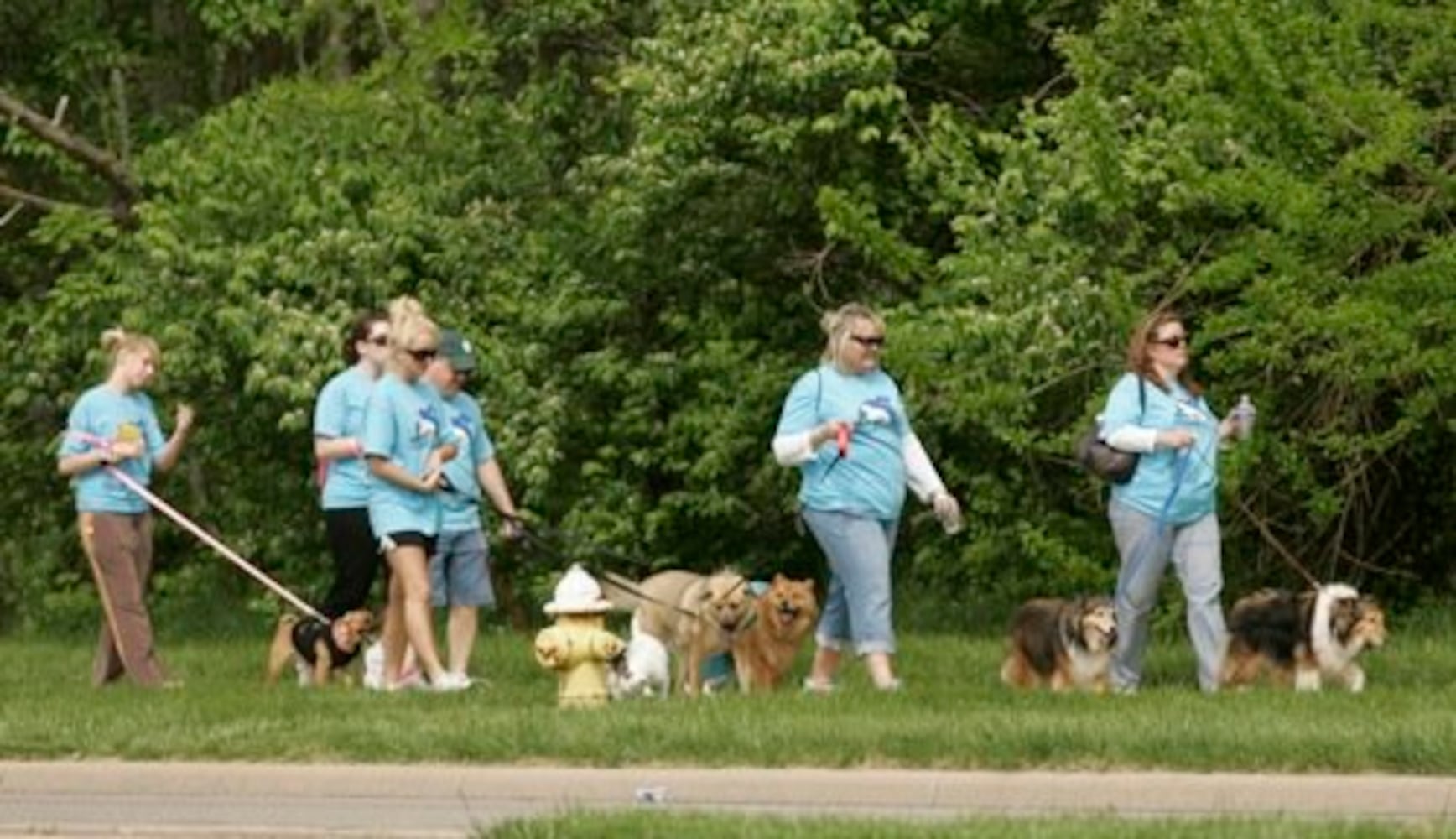 Furry Scurry walk