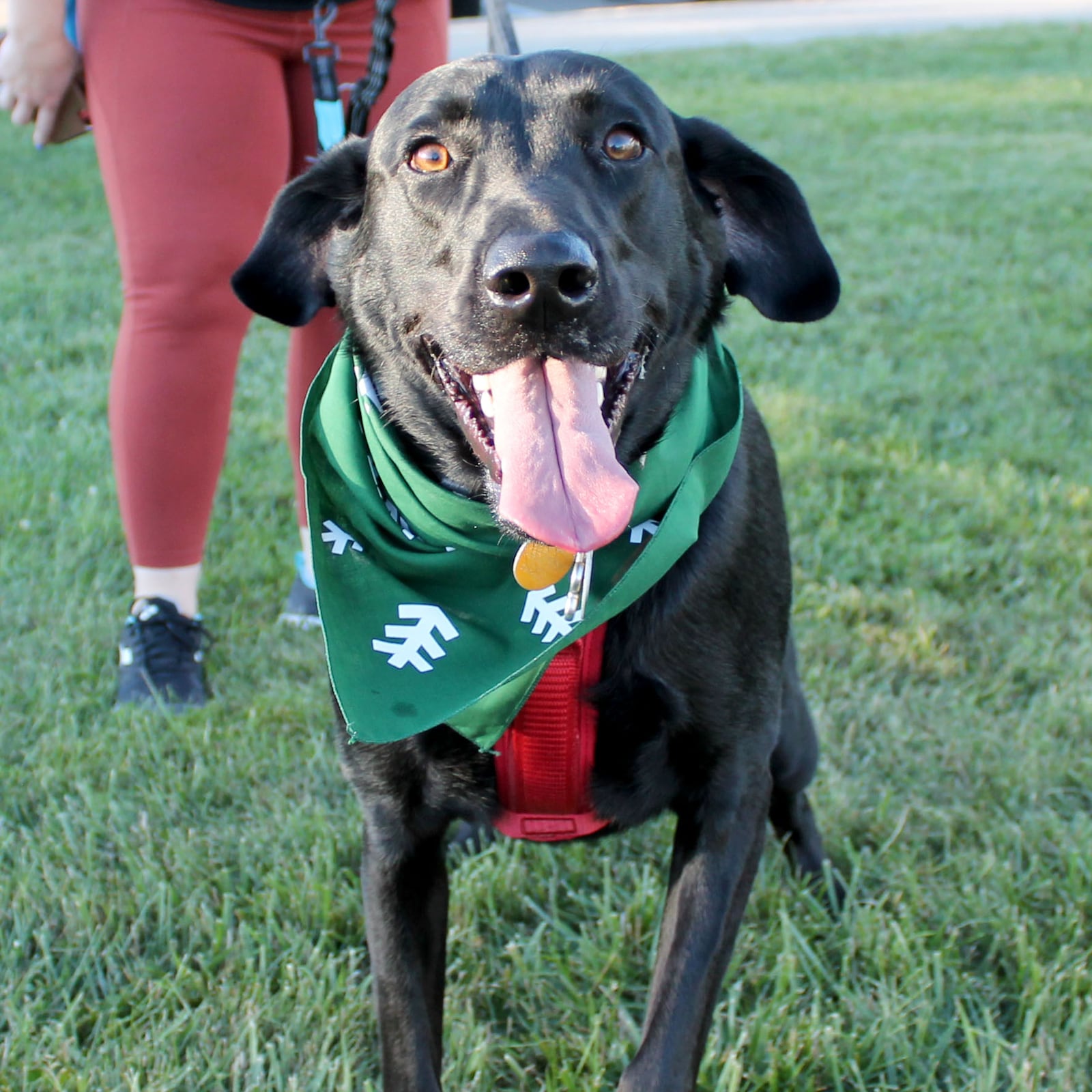 The Centerville-Washington Park District is hosting an event to share with your furry friend - CONTRIBUTED