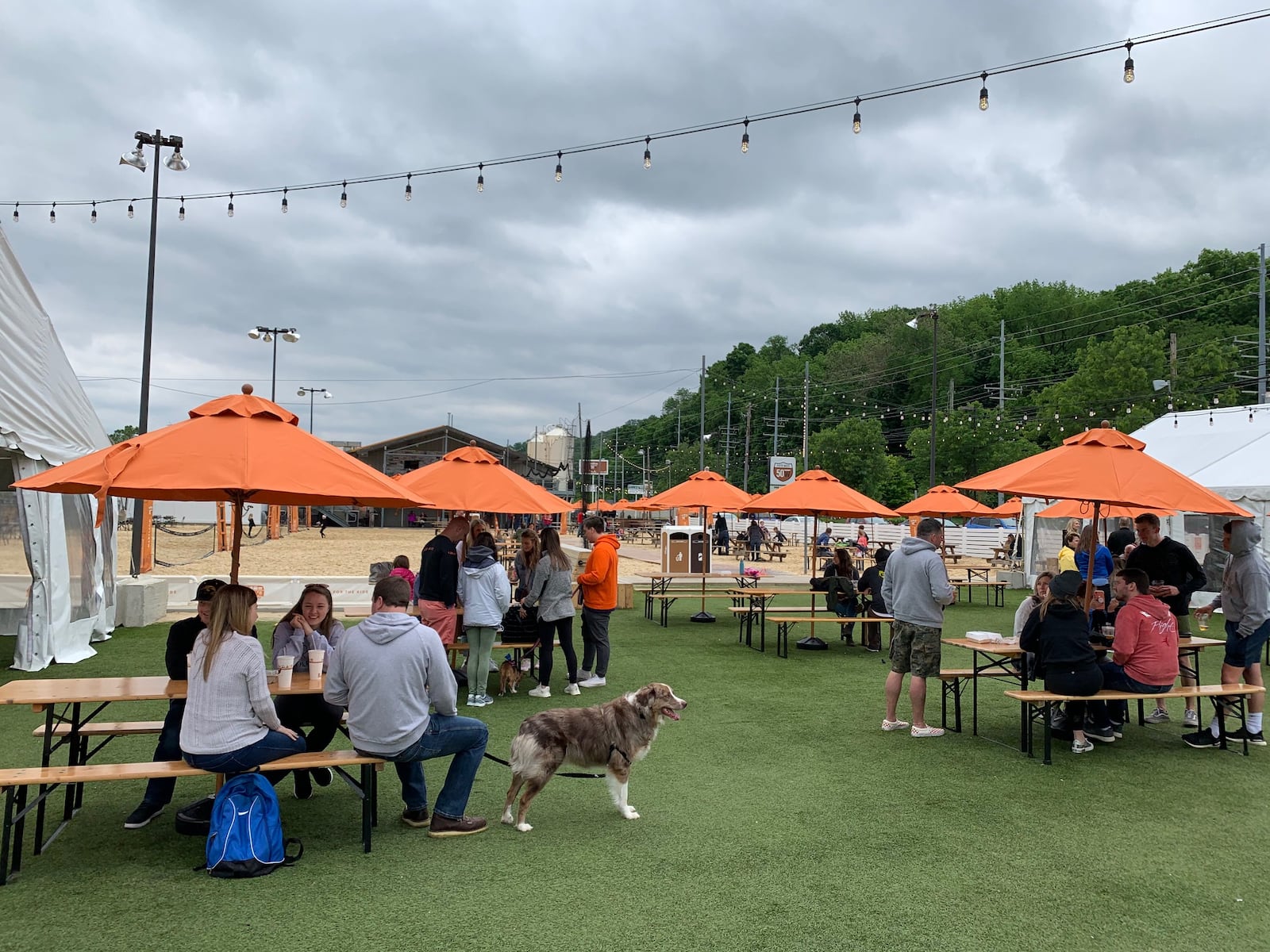 The 50 West Brewing Company campus in Cincinnati boasts not only a state-of-the-art craft beer production facility with a taproom, but also a bike shop, a canoe and kayak livery, sand volleyball courts, a massive beer garden, a futsal court that converts to pickleball courts and a burger bar steeped in 1950s roadside nostalgia. CONTRIBUTED/ALEXIS LARSEN