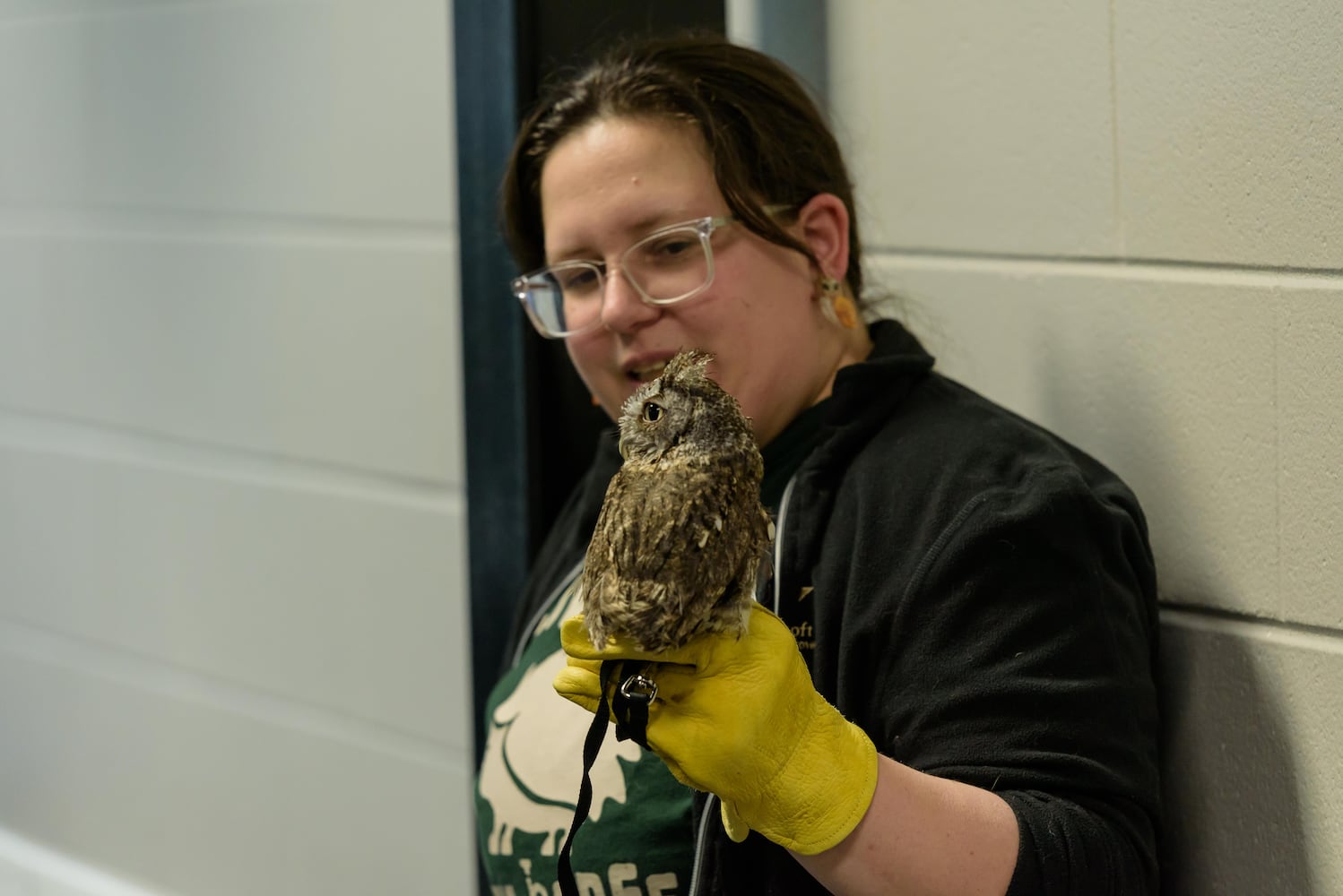 PHOTOS: Hedgehog Day 2025 at the Boonshoft Museum of Discovery