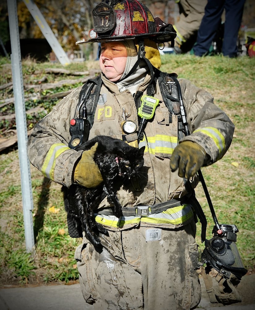 PHOTOS: Cats rescued from Dayton apartment fire