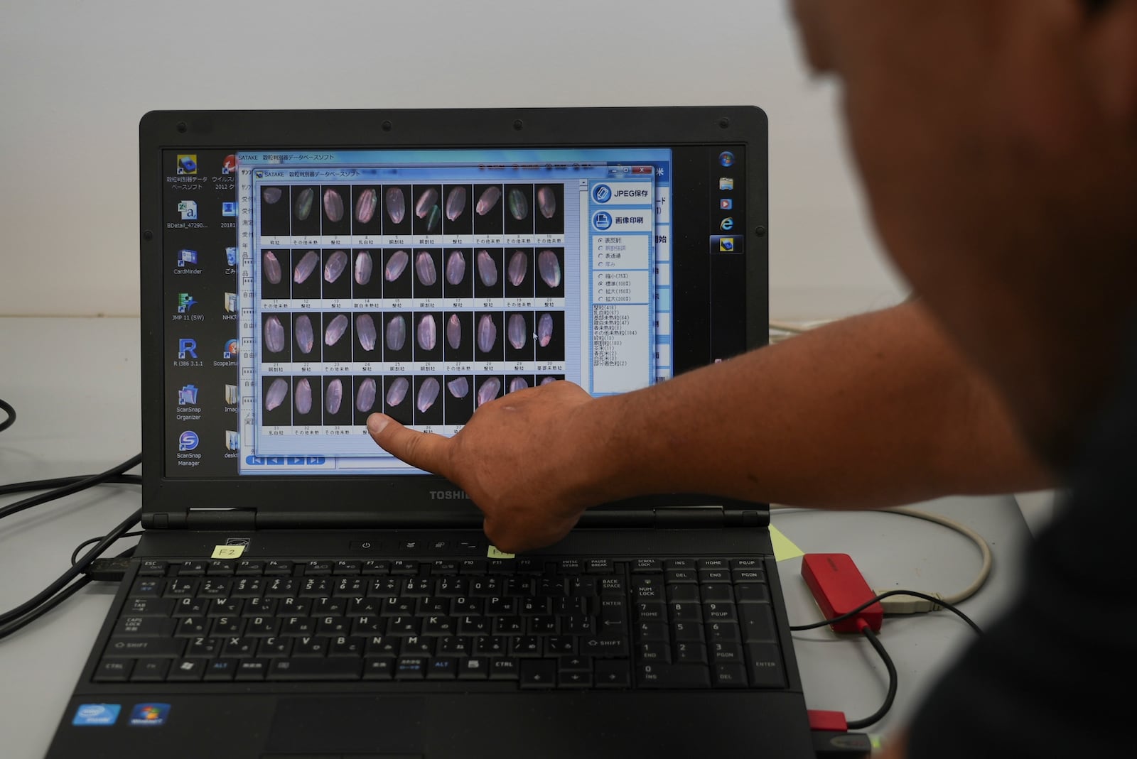 A laptop screen displays comparison photos of rice kernels from different rice varieties at Saitama's Agricultural Technology Research Centre in Kumagaya, Japan on Sept. 26, 2024. (AP Photo/Ayaka McGill)