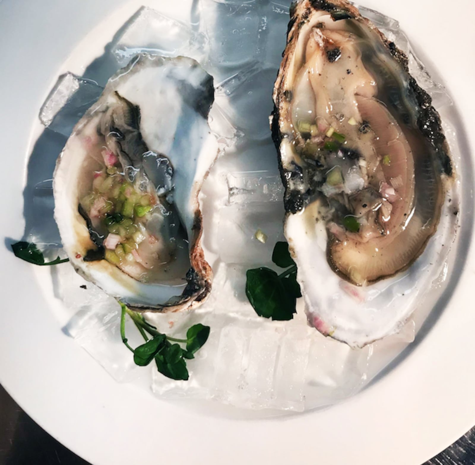 Lily’s Bistro hosts the return of Oyster Fest with specials and special preparations on everyone’s favorite mollusc on Tuesday, January 15 through Saturday, January 19. CONTRIBUTED