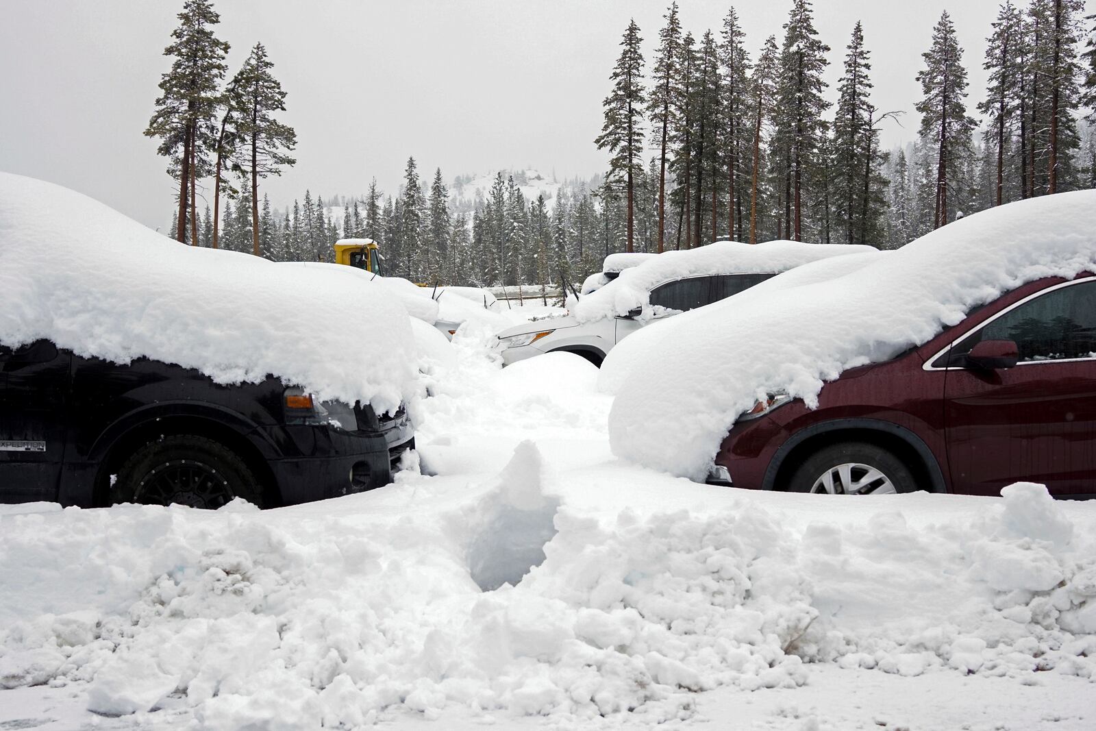 Cars are covered in snow during a storm Thursday, Nov. 21, 2024, in Soda Springs, Calif. (AP Photo/Brooke Hess-Homeier)