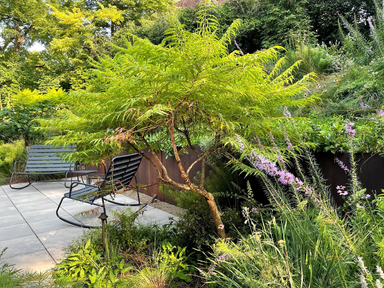 Garden designer Nadia Malarkey collaborated with homeowners to create this garden. It features a space for the family and a space for native pollinators and birds. NANCY DANKOF/COURTESY PHOTO