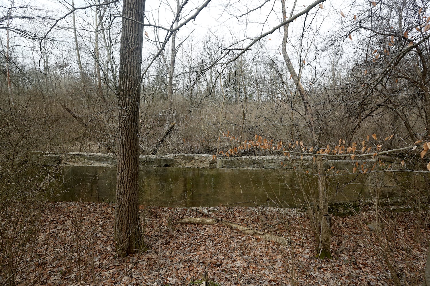 PHOTOS: Long-abandoned amusement park lives on in Possum Creek MetroPark