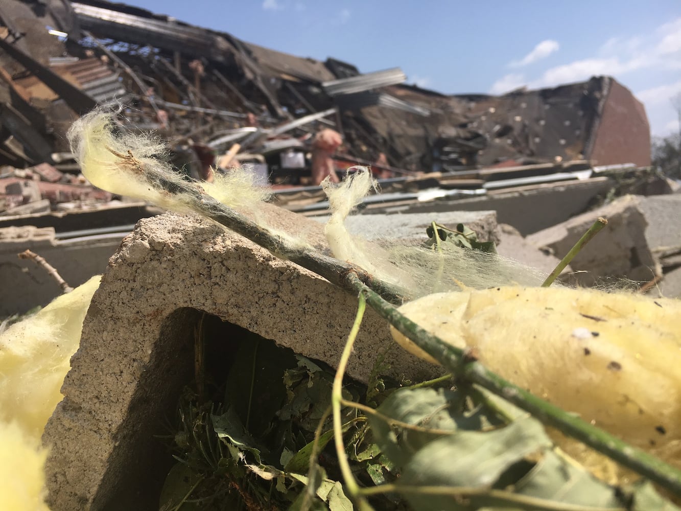 PHOTOS: Harrison Twp. storm damage