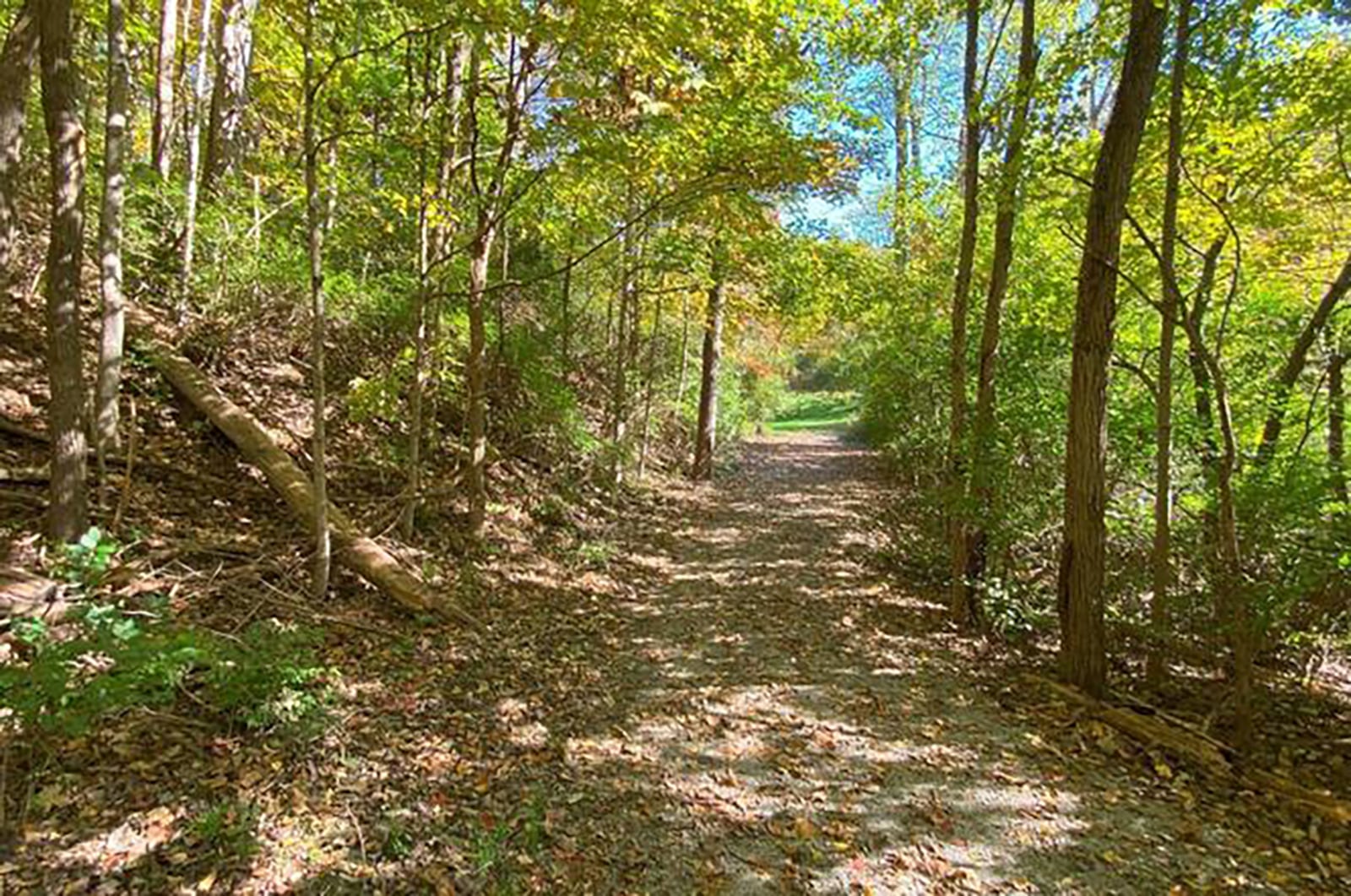 The home sits on nine plus wood acres and the gravel driveway winds through the property.