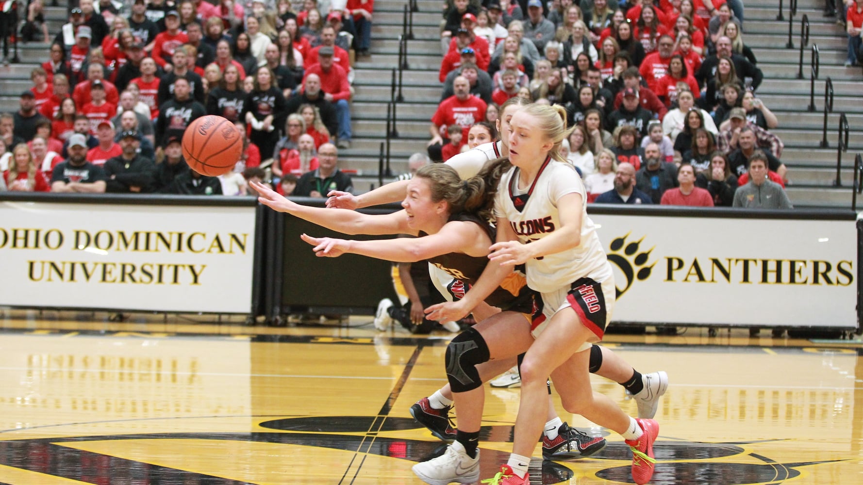 Alter OHSAA girls basketball state semifinal 2025