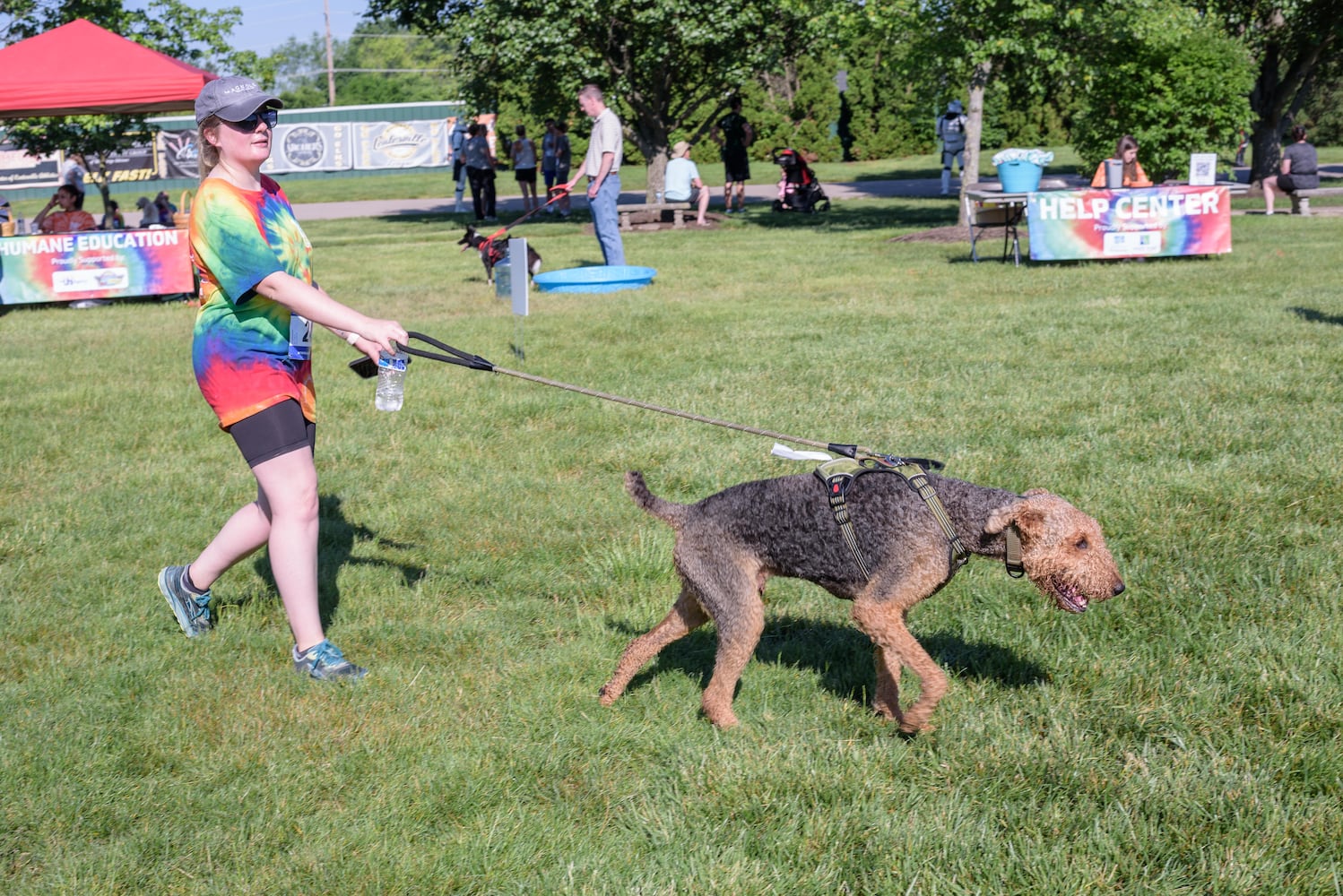 PHOTOS: Did we spot you and your doggie at SICSA’s Lift Your Leg fun run/walk?