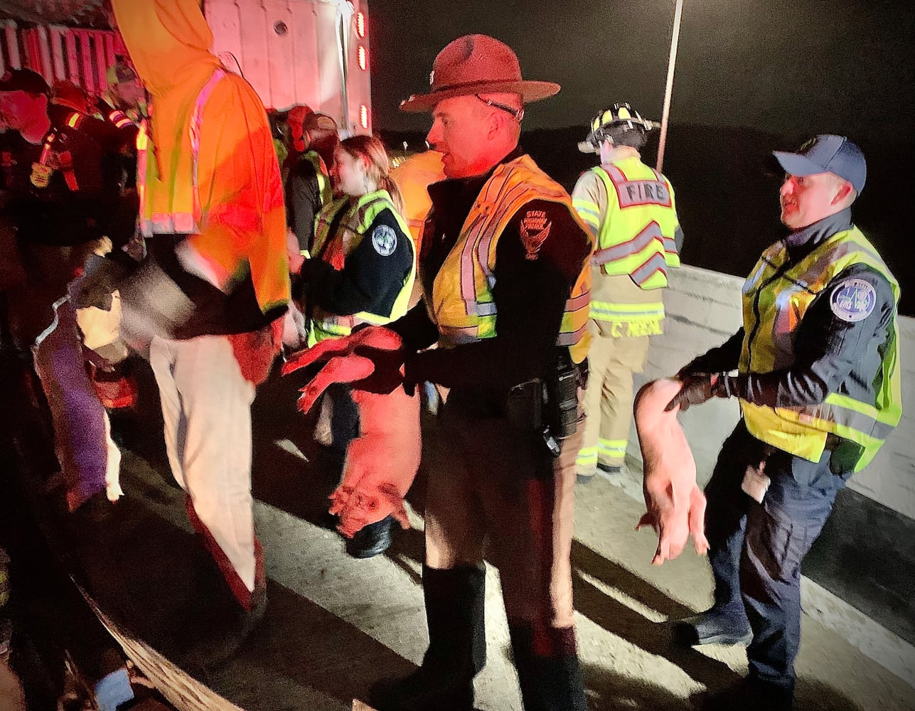 Semi hauling 1900 piglets overturns on I-75 to I-70 flyover