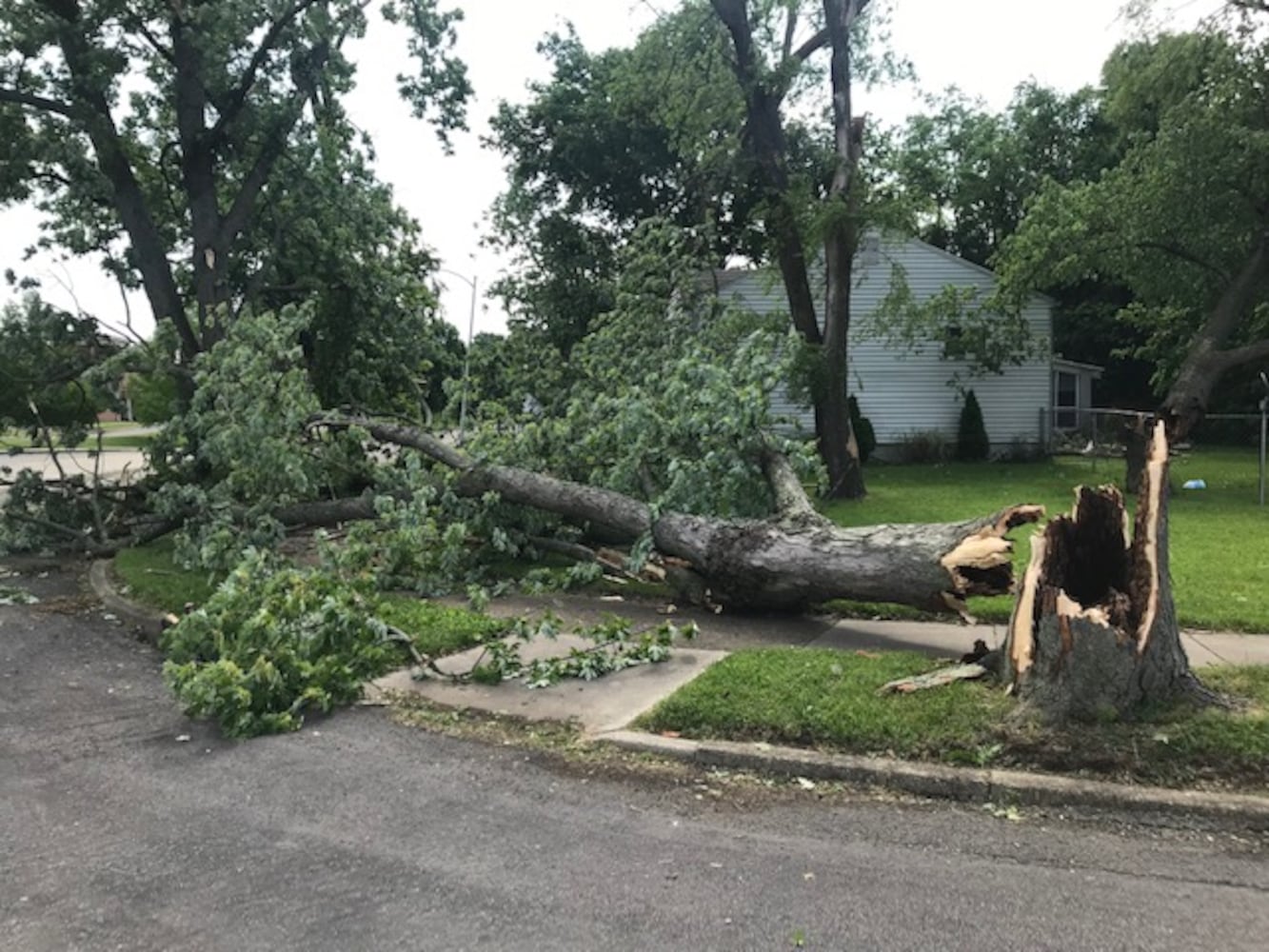 PHOTOS: Riverside storm damage