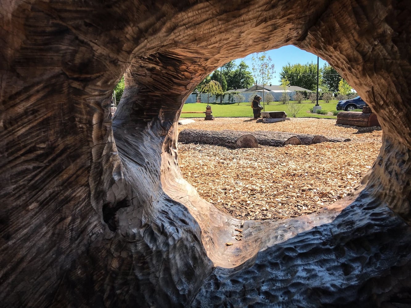 PHOTOS: Tornado wreckage becomes art for library