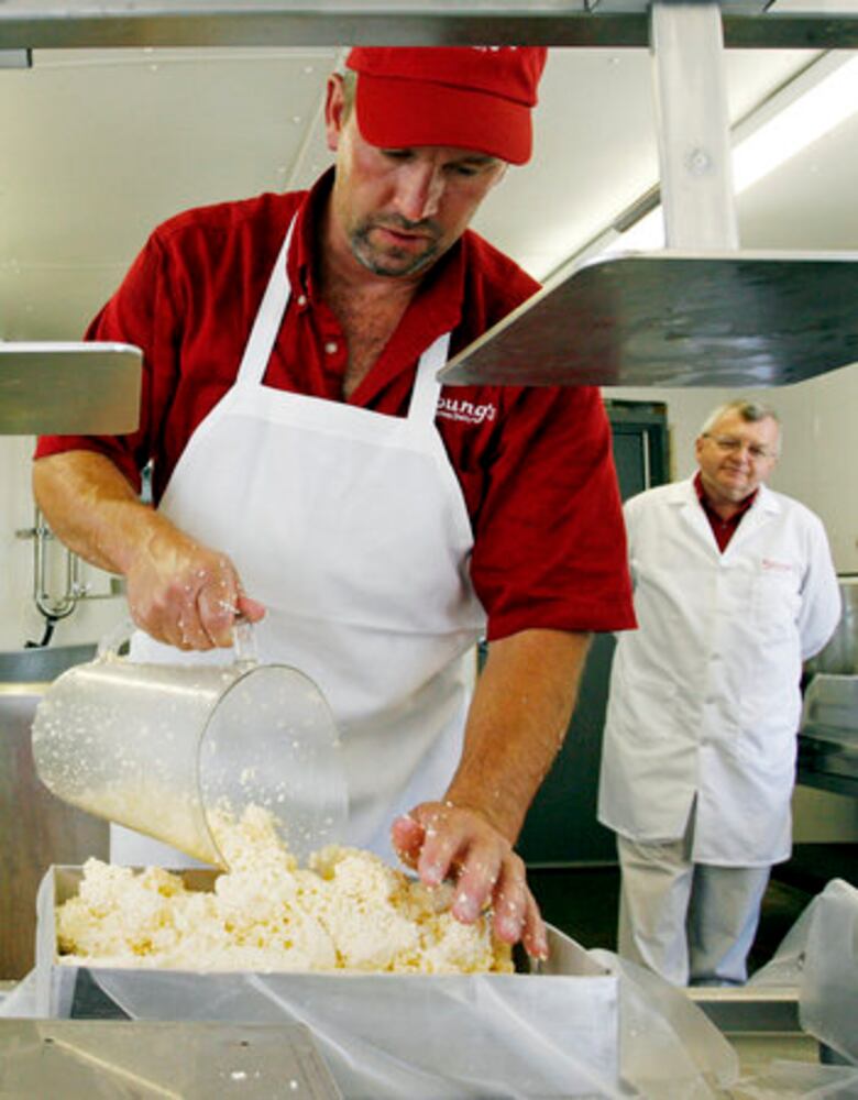 Young's Jersey Dairy makes cheese