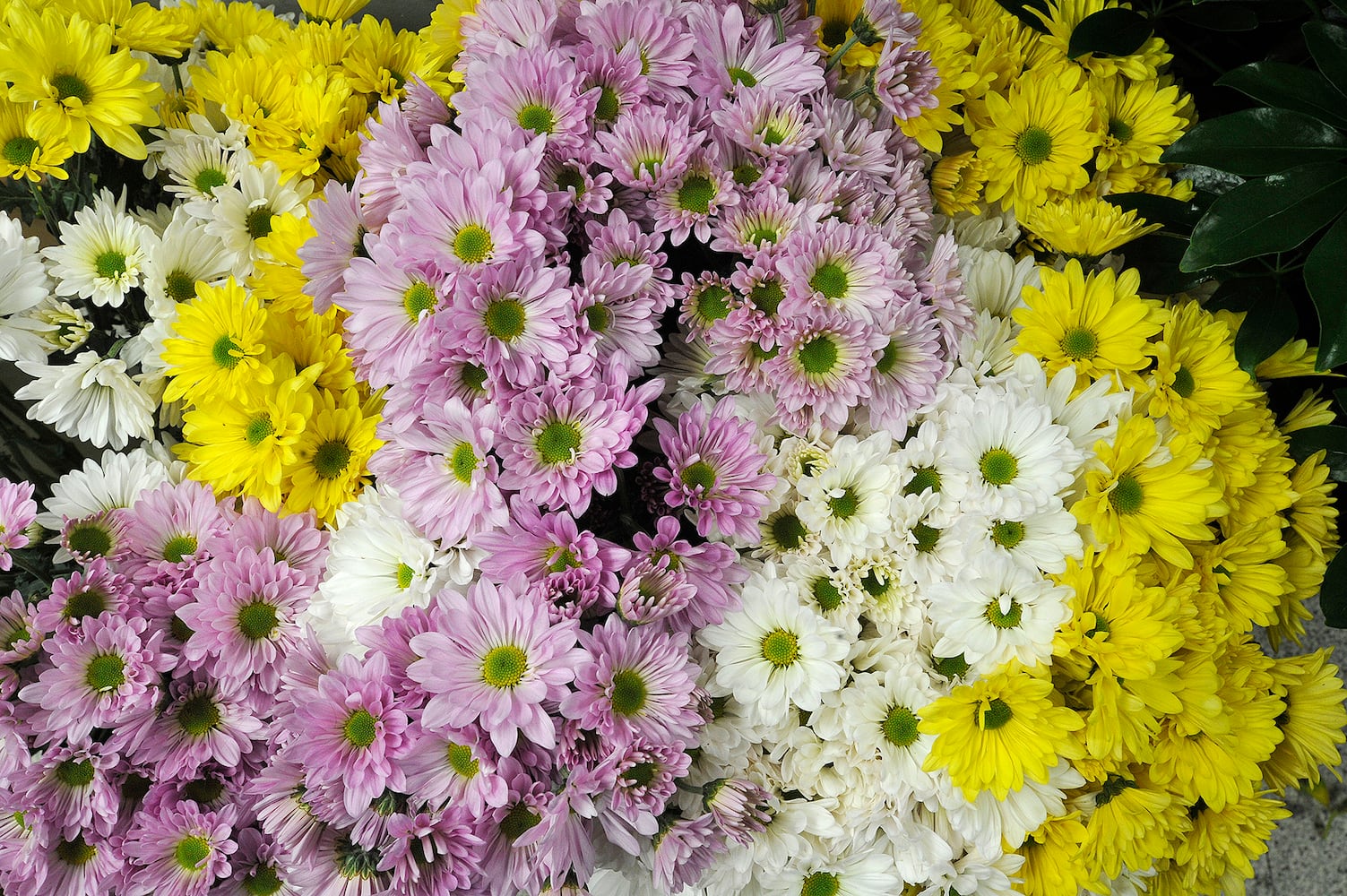 PHOTOS: Flowers arrangements make Mother’s Day special