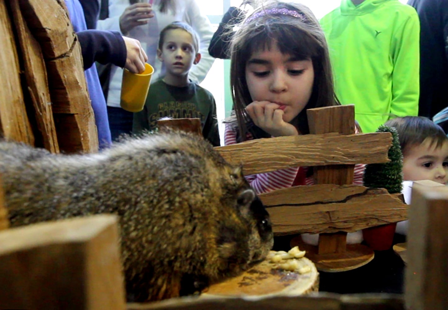 Boonshoft Museum of Discovery