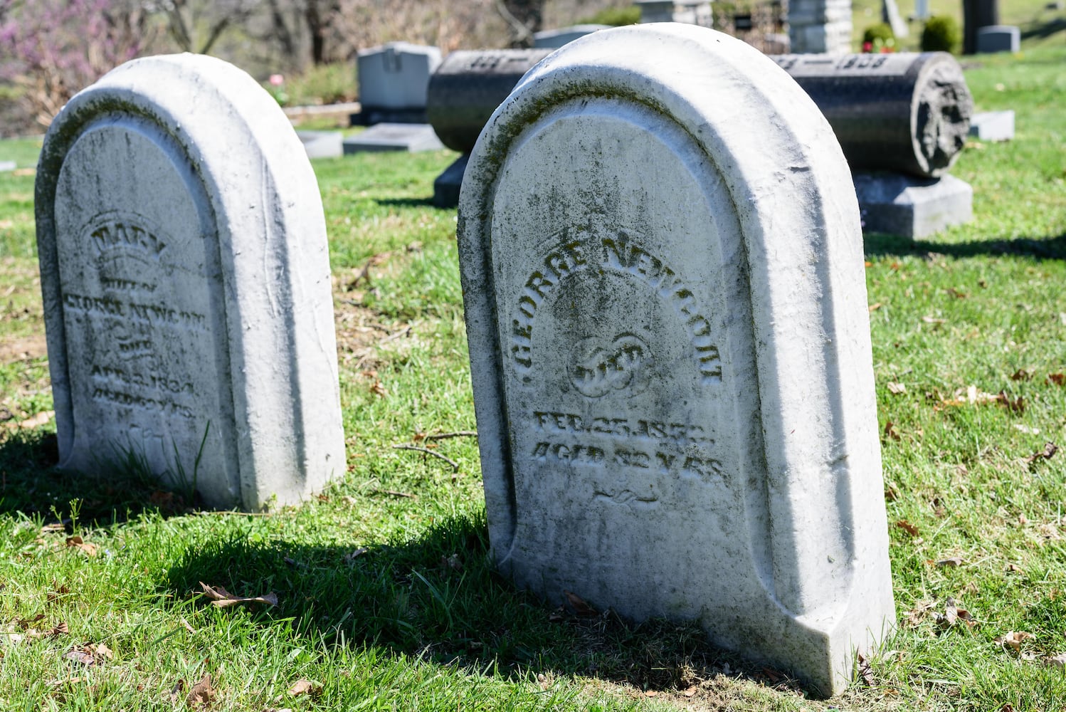 PHOTOS: Woodland Historic Tour at Woodland Cemetery & Arboretum