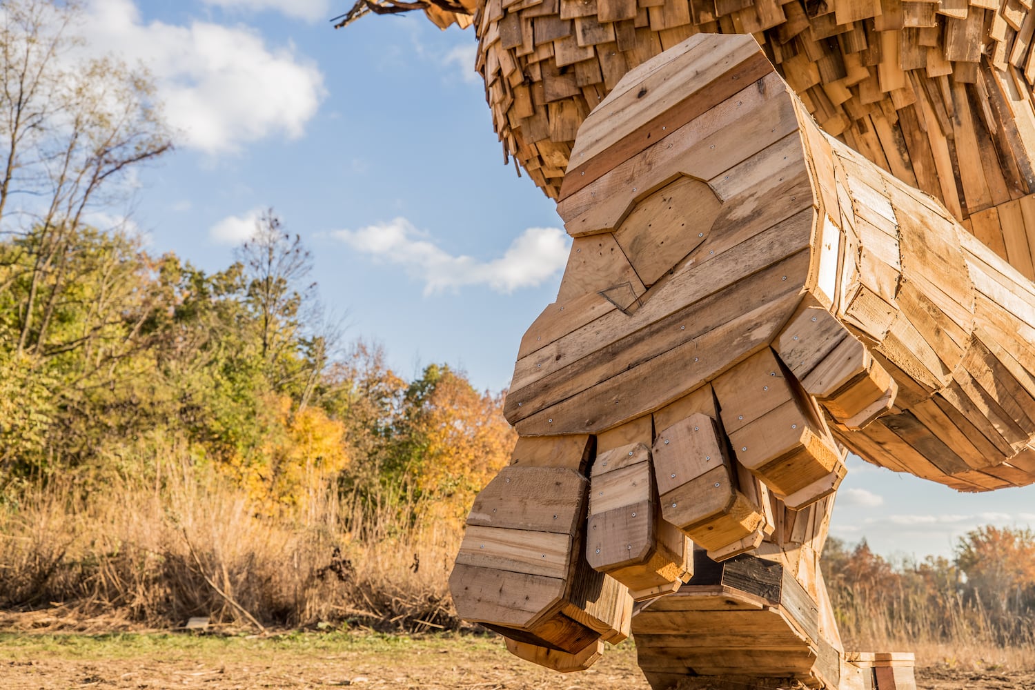 Trolls invade Dayton park