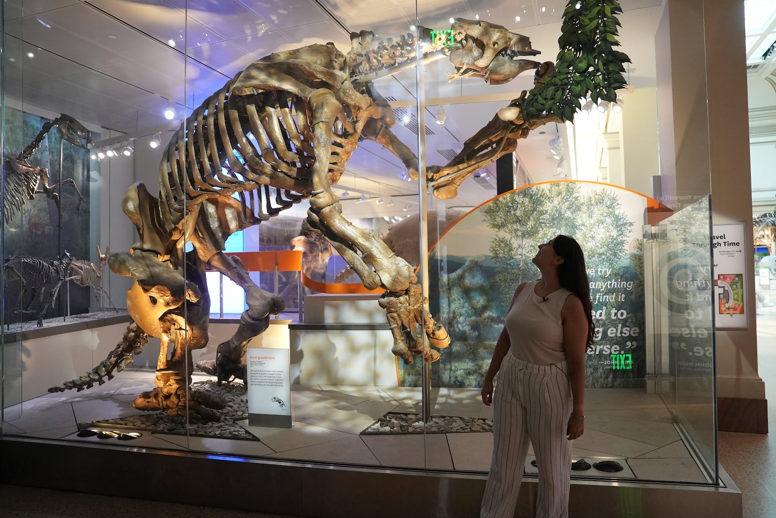 Paleontologist Thaís Pansani stands in front the reconstructed skeleton of a giant ground sloth at the Smithsonian National Museum of Natural History in Washington, on July 11, 2024. (AP Photo/Mary Conlon)