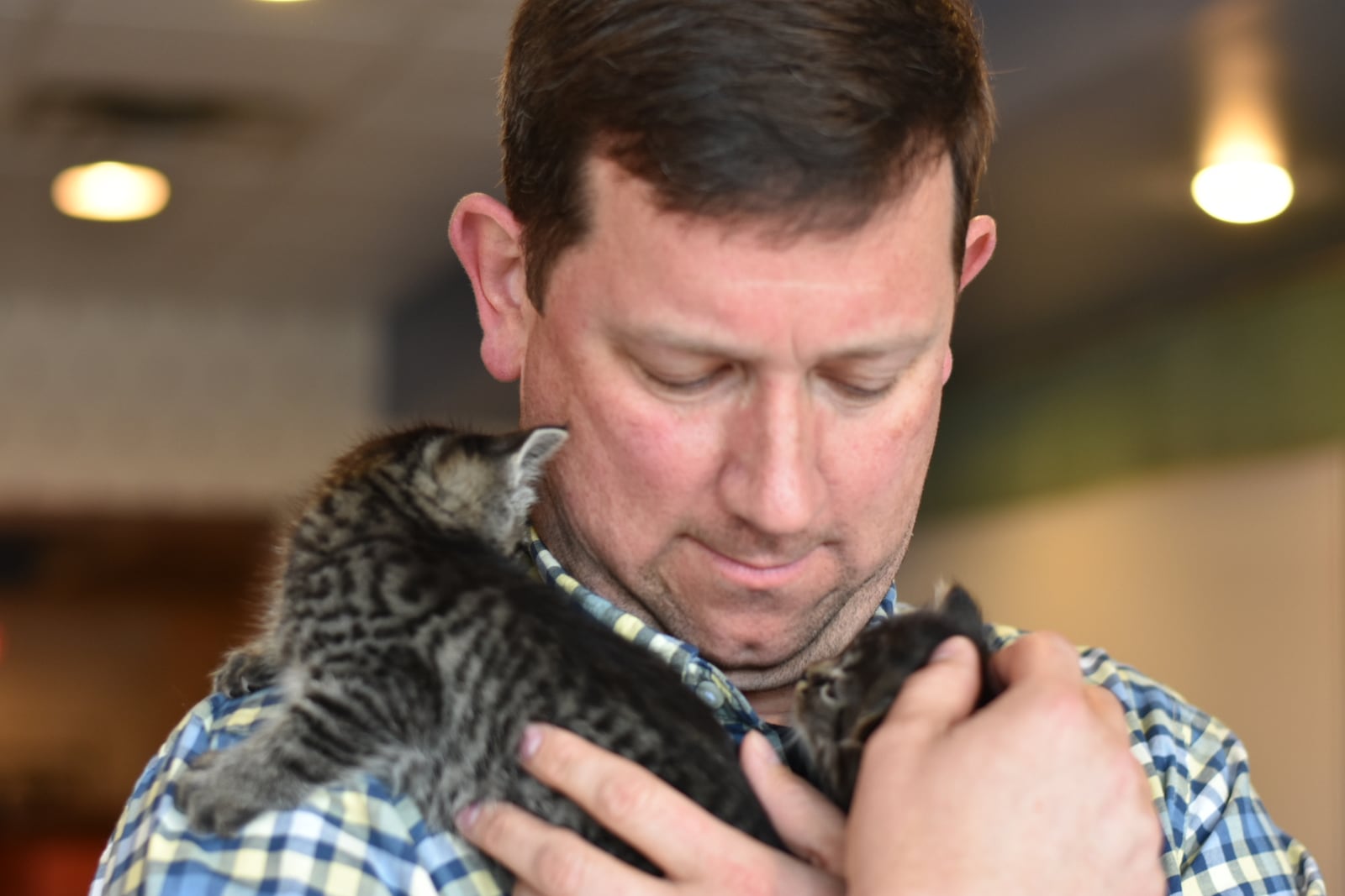 Fairborn City Manager Rob Anderson recently announced the StreetCats cat cafe. The initiative is design to help address the city's stray and homeless cat issues. Photo: The City of Fairborn.