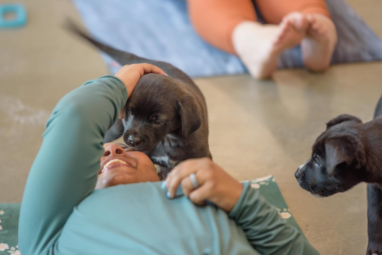 PHOTOS: Puppy Yoga at SICSA Pet Adoption and Wellness Center