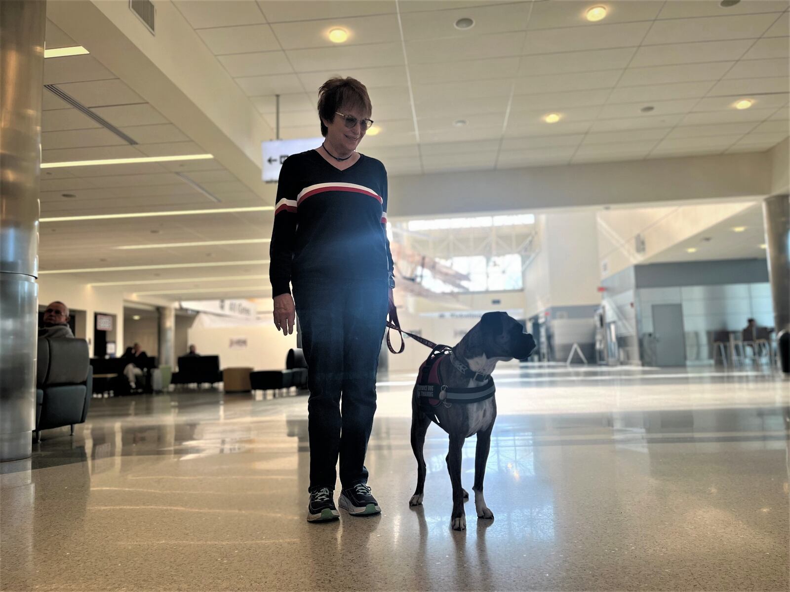 Bren Reisch, 72, walks "Maddie," a 4-year-old brindle boxer, around the Dayton International Airport on Thursday, Nov. 3, 2022. Reisch was training Maddie as she waited to pick up a friend from the airport. CORNELIUS FROLIK / STAFF