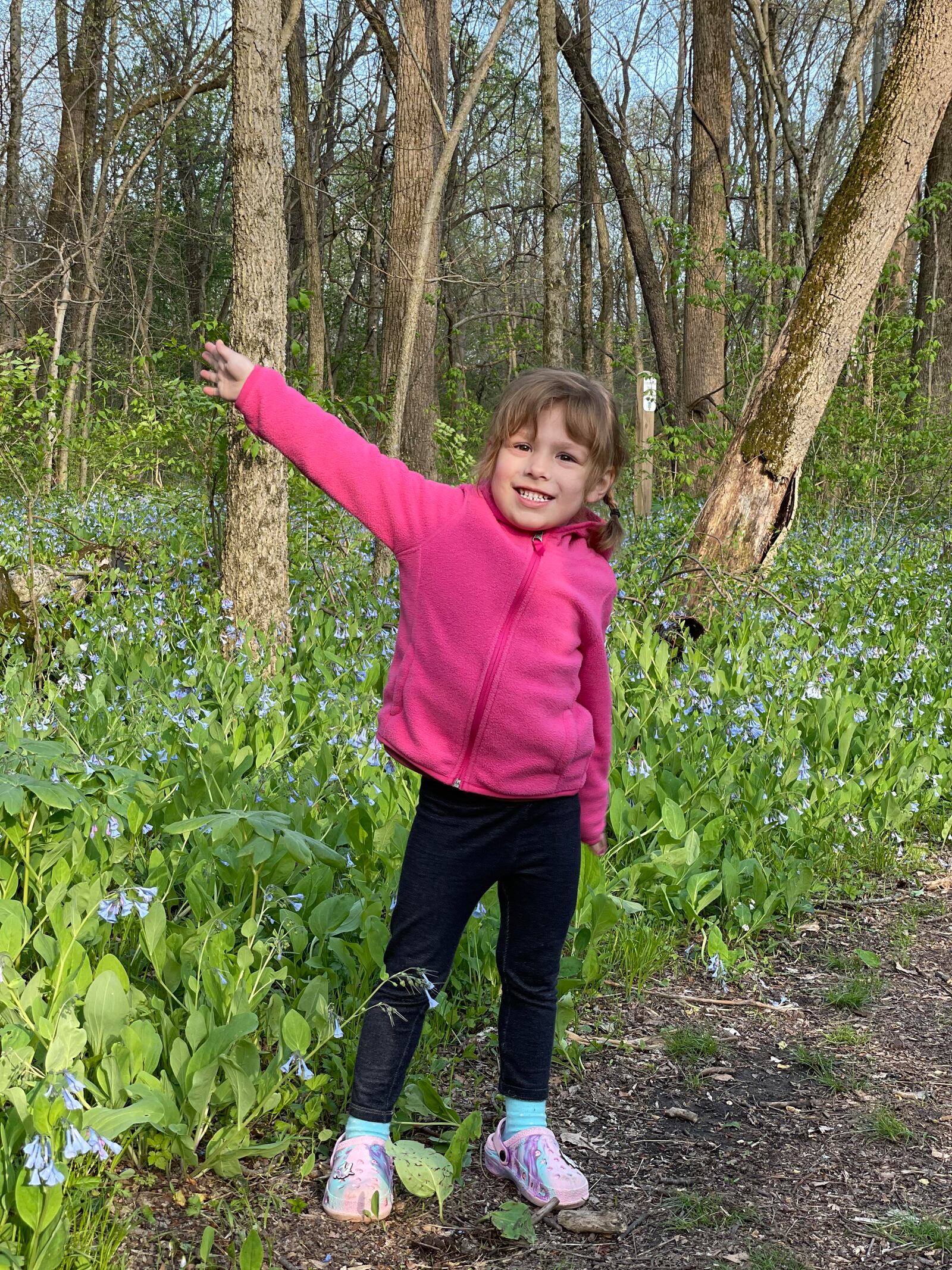 With its bluebell lined trails, Possum Creek MetroPark is a beautiful spring destination. CONTRIBUTED