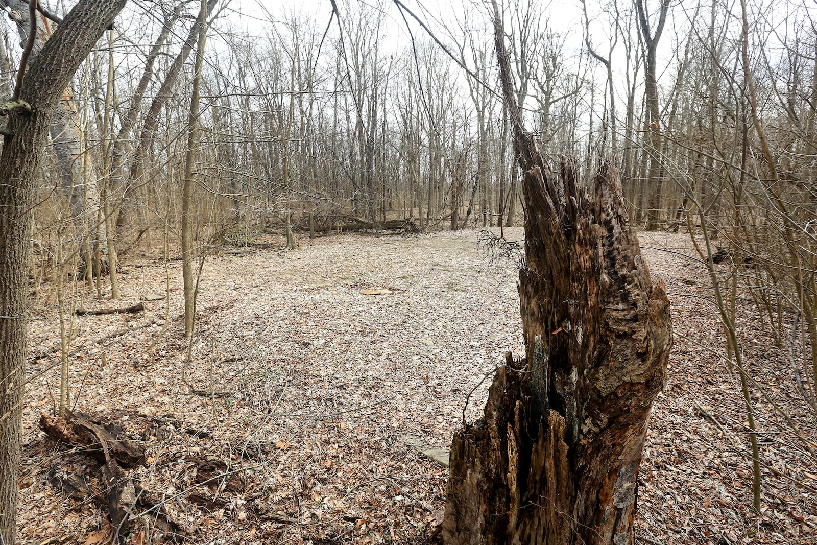 An outdoor dance floor was a highlight of Dayton's Argonne Forest  Park in the 1930s. The former park was located on the site of today's Possum Creek MetroPark. In 1996 the concrete outdoor dance floor was rediscovered by Five Rivers MetroPark staff under decades of decaying leaves and forest plants. LISA POWELL / STAFF