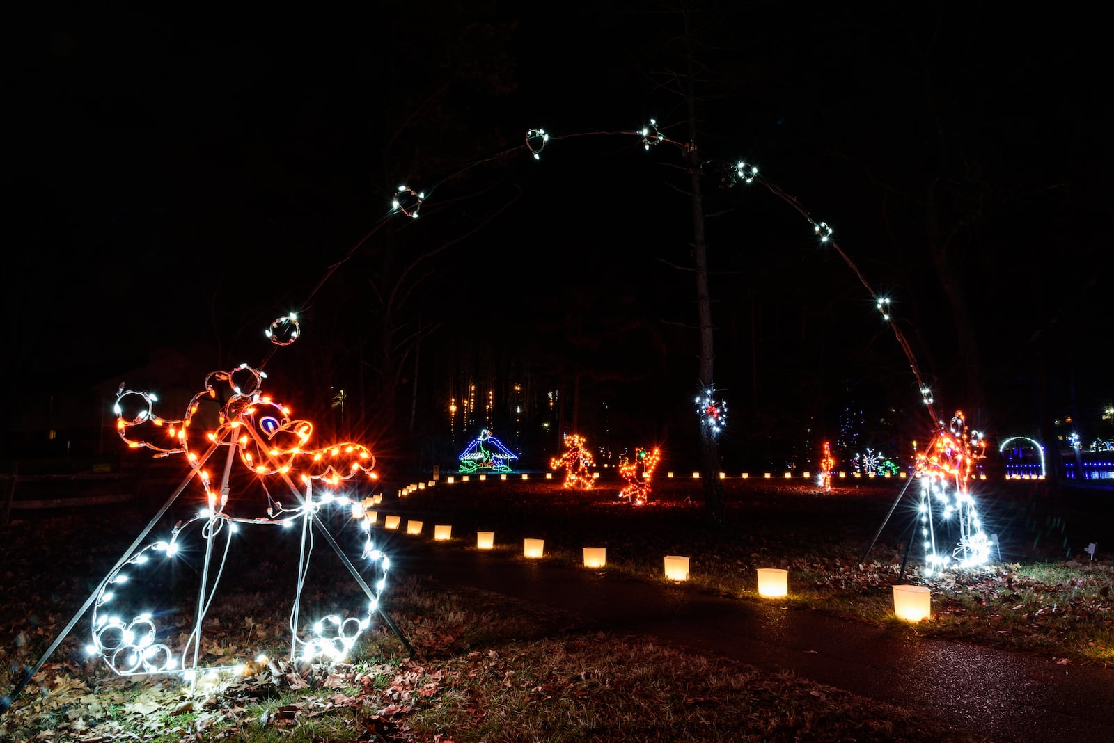 Woodland Lights, located in Countryside Park at 895 Miamisburg-Centerville Road in Washington Twp., is celebrating its 30th anniversary in 2022. The holiday light display is open from 6 p.m. to 9 p.m. until Dec. 23. TOM GILLIAM / CONTRIBUTING PHOTOGRAPHER