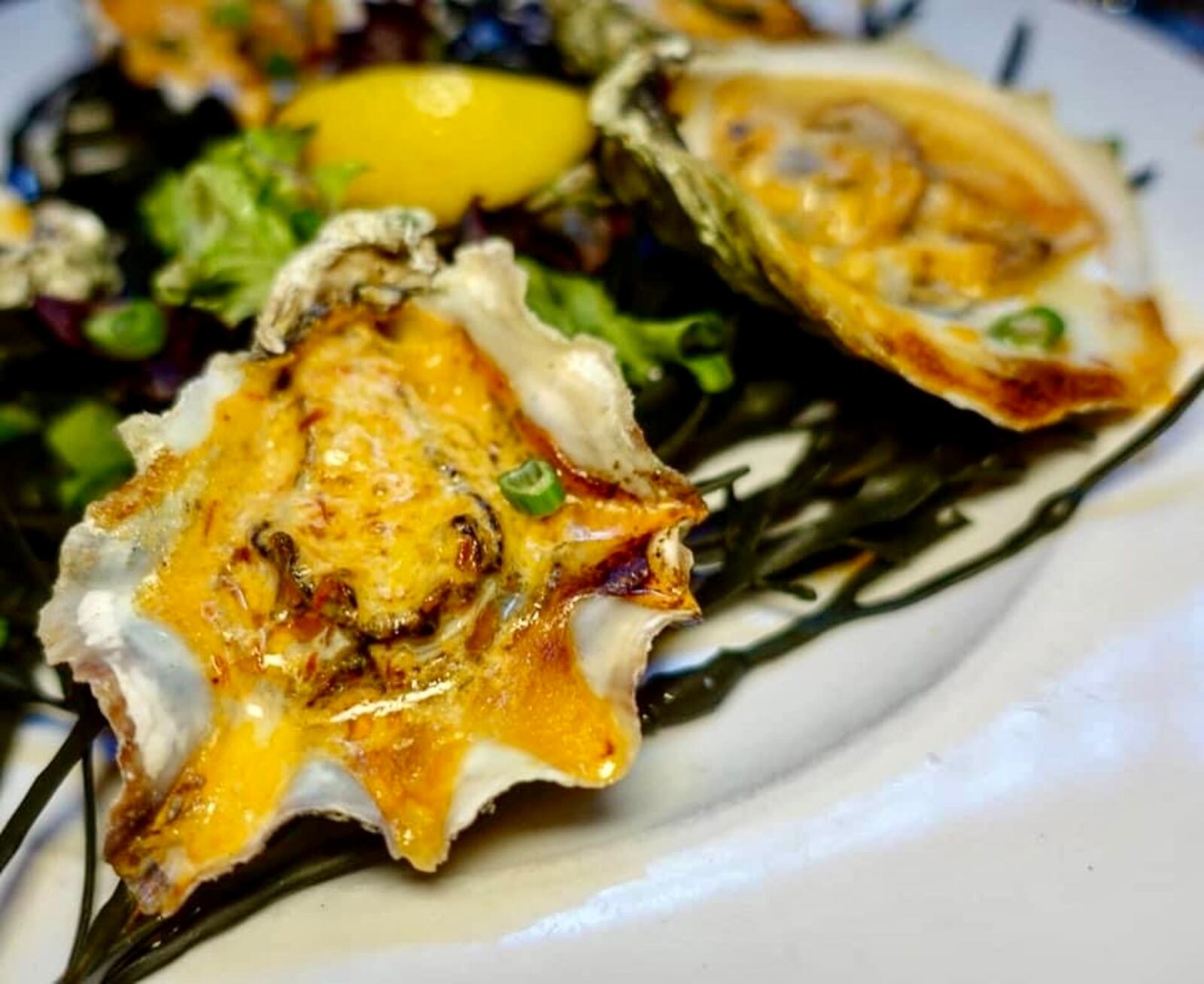 Lily's Oyster "Cochon-feller"