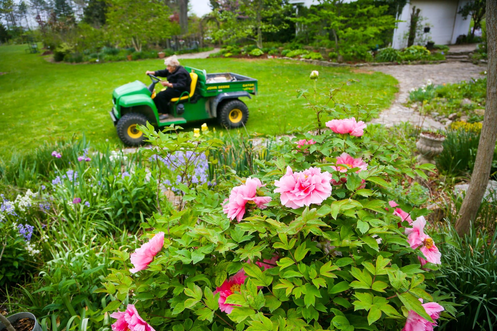 Mary's Plant Farm & Landscaping is a family business that was started 41 years ago and is still run by owner Mary Harrison, who is 95 years old.