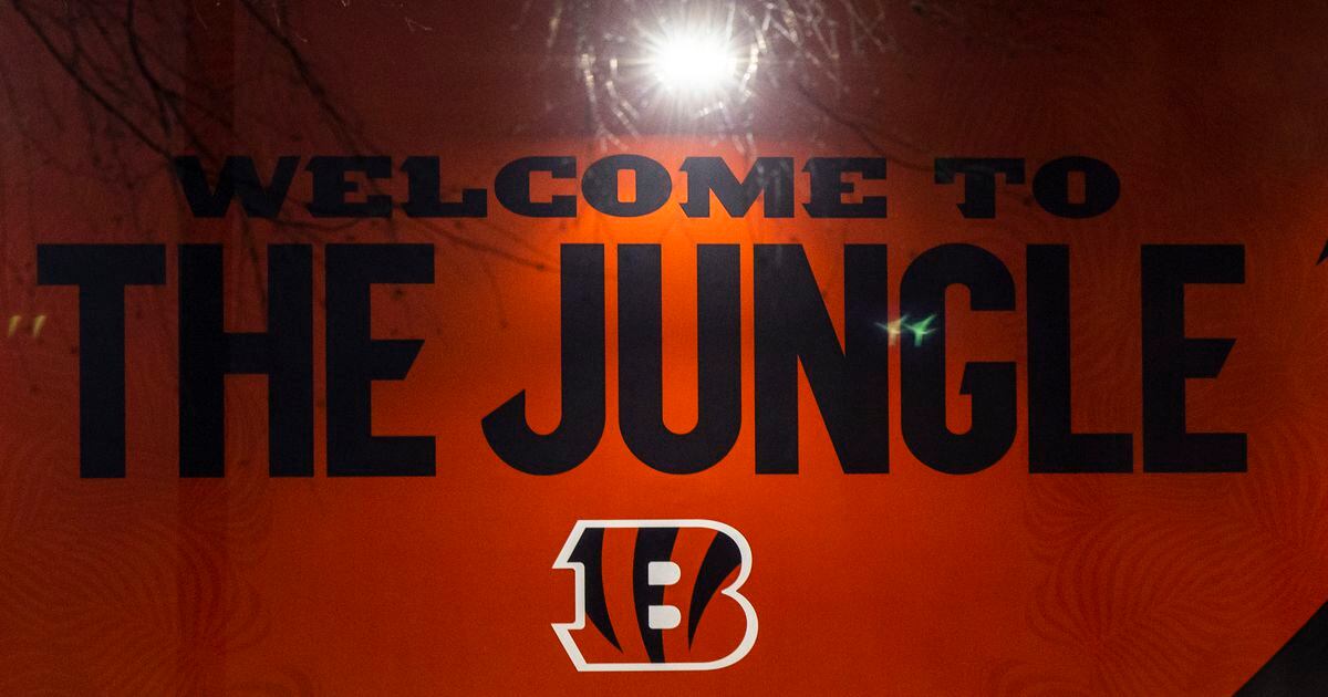 Cincinnati Bengals, Killer Brownie Co. sign multiyear sponsorship deal -  Cincinnati Business Courier