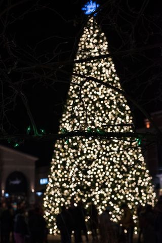 PHOTOS: Did we spot you at the Christmas Tree Lighting & Santa Arrival Parade at The Greene?