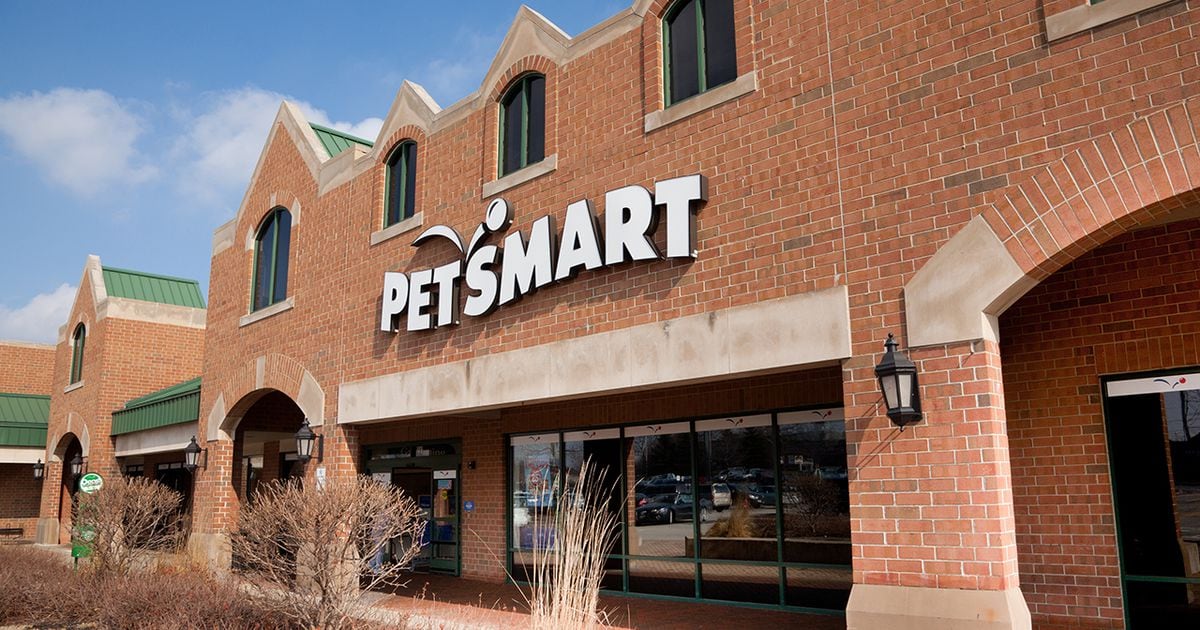 Investigation finds 47 dogs died after grooming at PetSmart over