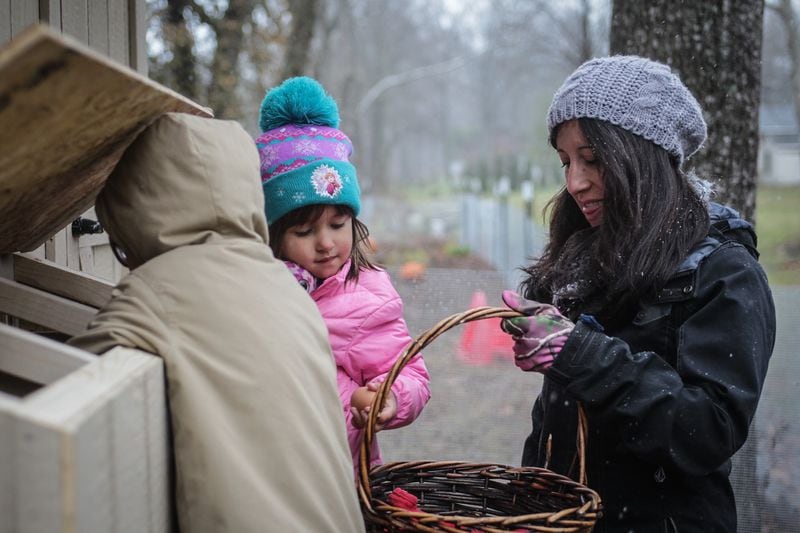 Aja Delaney and her two children, Maelina Spoores, center and Logan Rio Spoores collect eggs from the backyard chickens. Delaney works from home and is considering leaving her job if her kids' Montessori school has to close again due to the COVID-19.