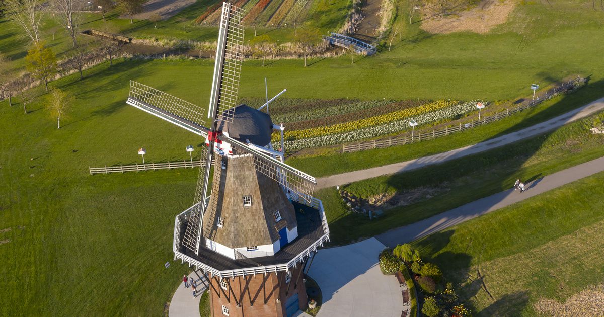 How do online dutch windmills work