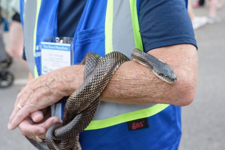 PHOTOS:  Passport to MetroParks at RiverScape MetroPark