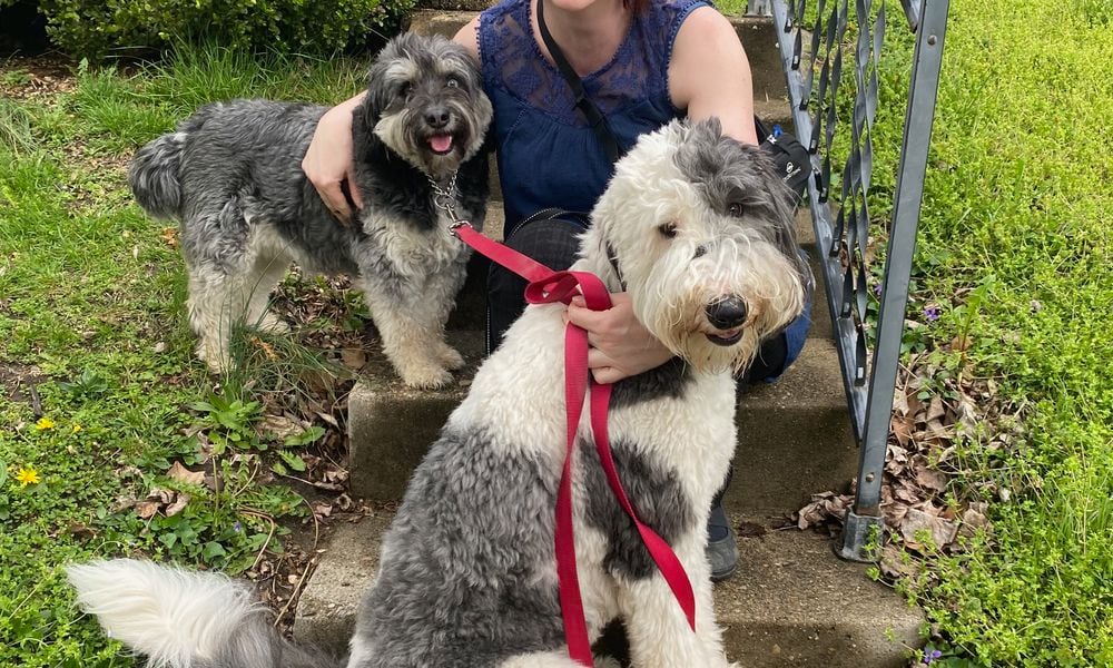 McConville at home in the South Park neighborhood in Dayton with her rescue dogs Merlin and Bea. CONTRIBUTED